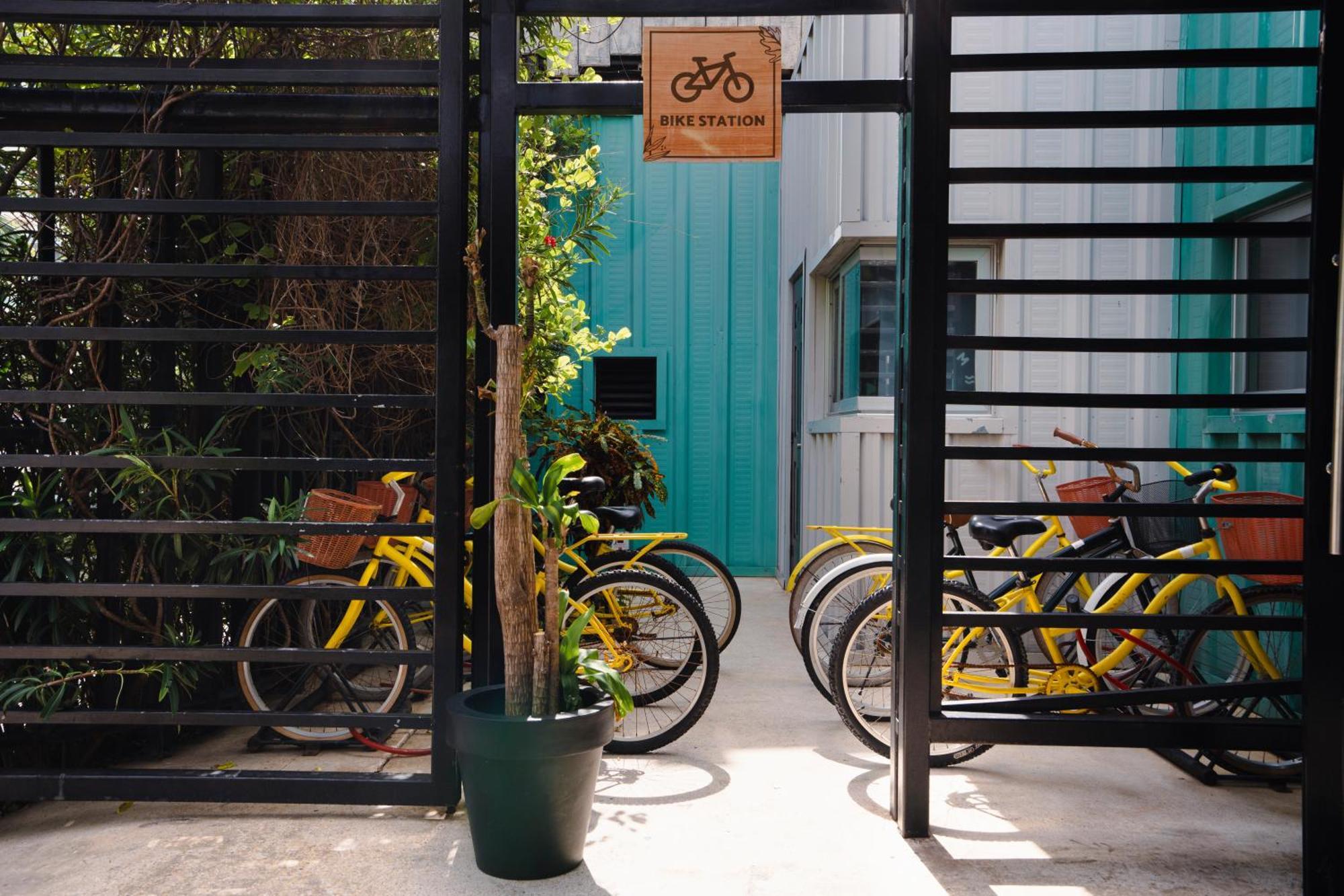 Mayan Monkey - Social (adults Only) Hostal