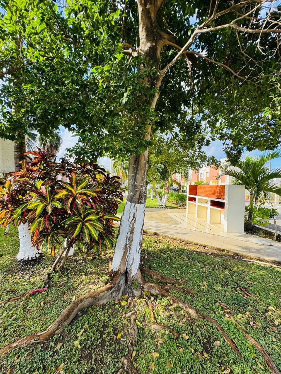 Casa Margu Cancún