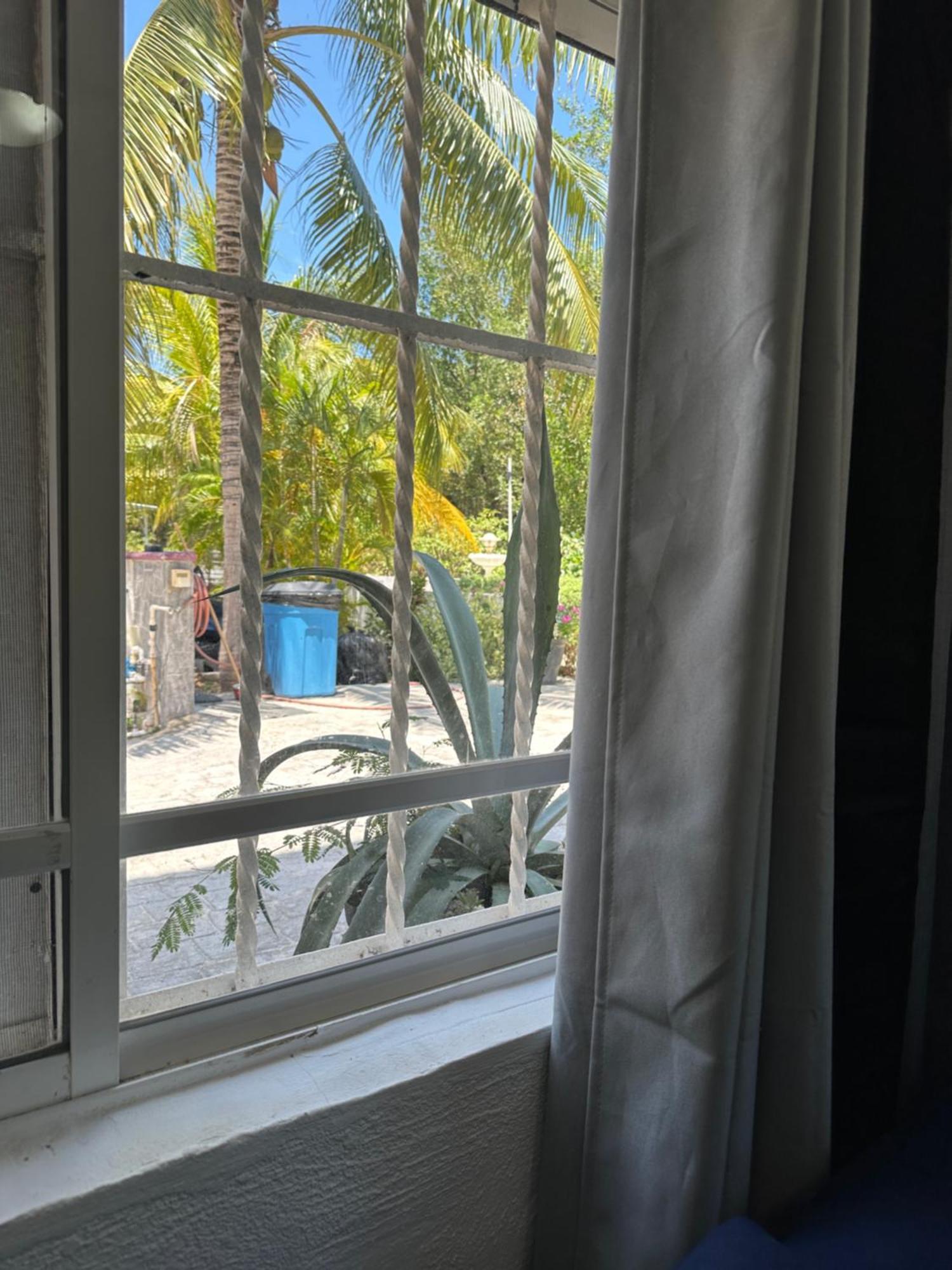 Caribbean In Private Area
