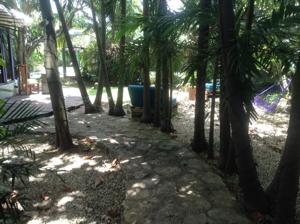 Casa rural Tropical *