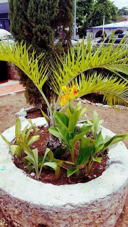 La Tia Sandia Cancún