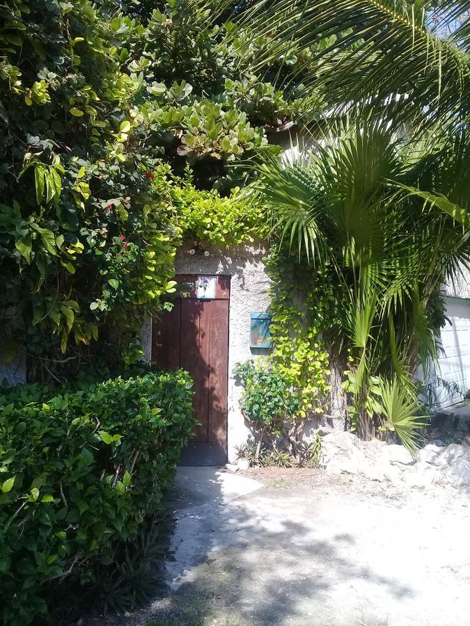 Casa rural Tropical Cancún