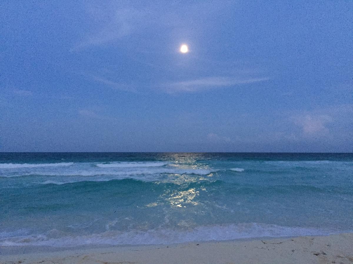 Ocean View Cancún