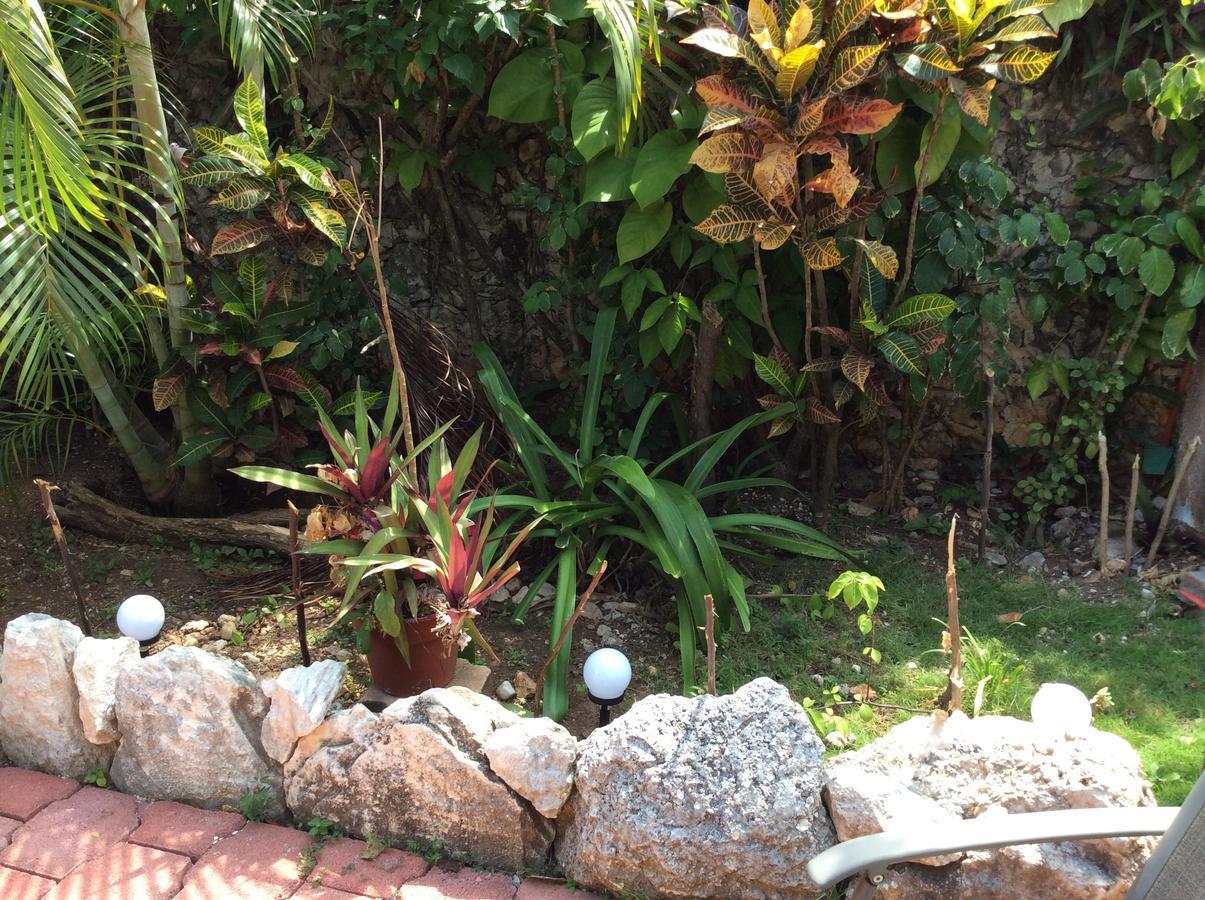 Bed and breakfast La Casa De Piedra
