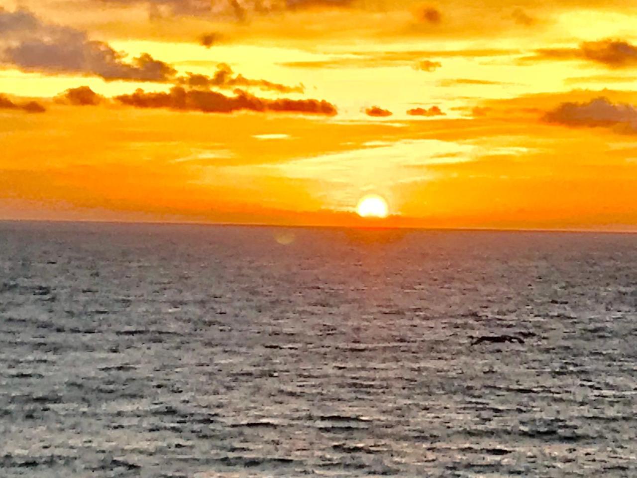 Apartamento Ocean View