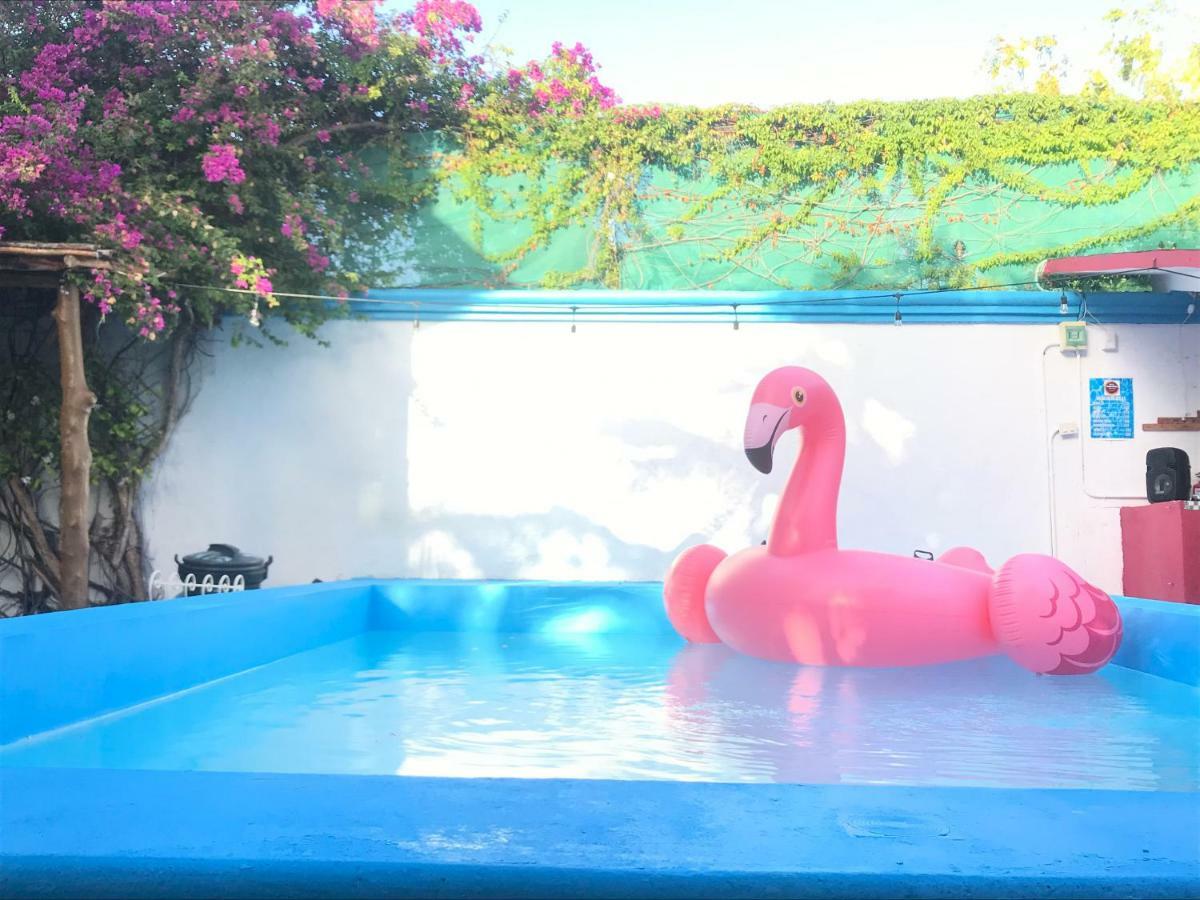 Hostel Hostel Quetzal Cancun