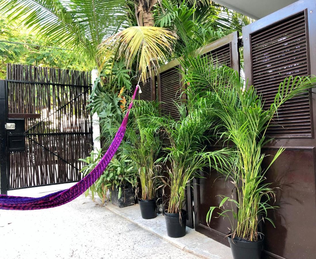 Casa Tropical By Mi Casa Es Tu Casa